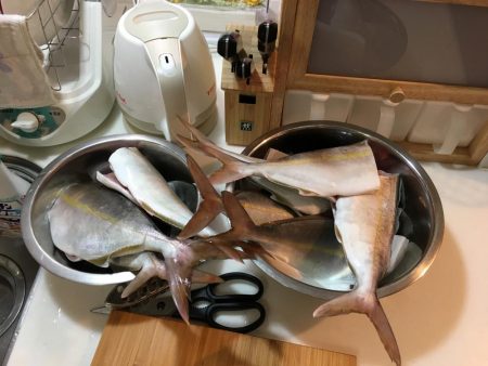 伊勢湾ジギング